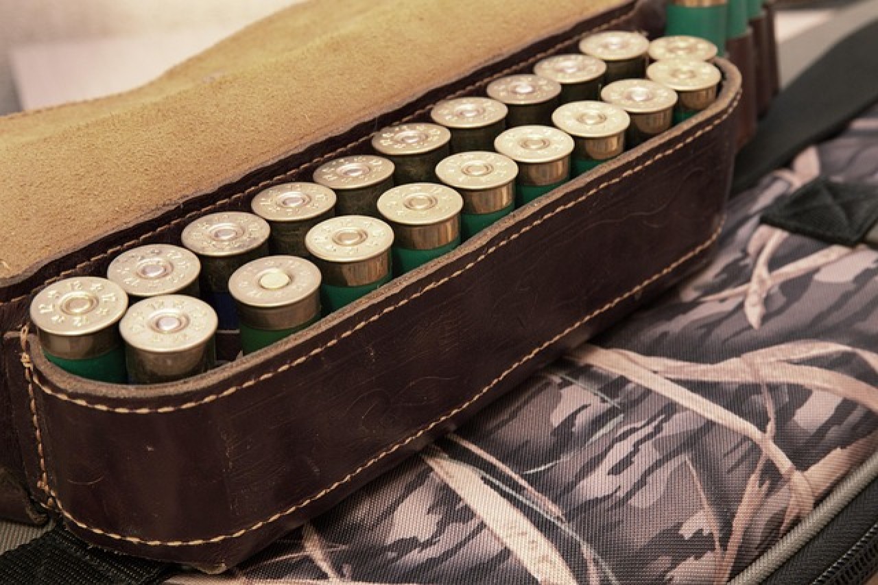 Blei in der Jagd Wie Politik, Lobby und Übergangsfristen ein Gift am Leben halten und was das für die Schweiz bedeutet