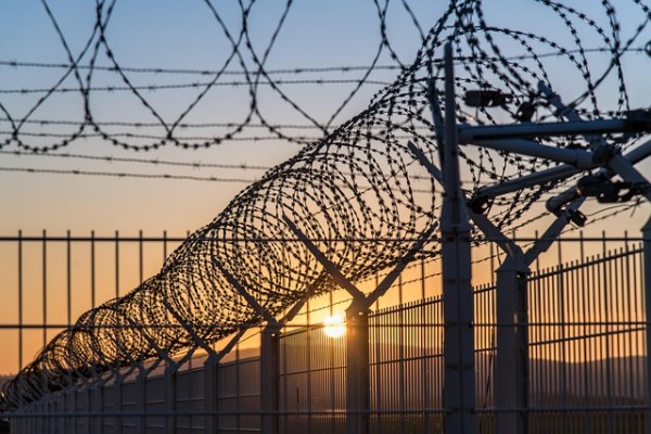 Modeltekst: Recreatieve jacht en criminaliteit in het kanton