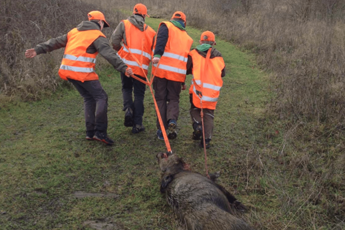 Kinder, Jagd und Gewaltsozialisation