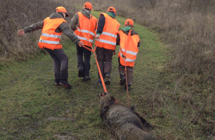 Children, hunting and the socialization to violence Children, hunting and the socialization to violence