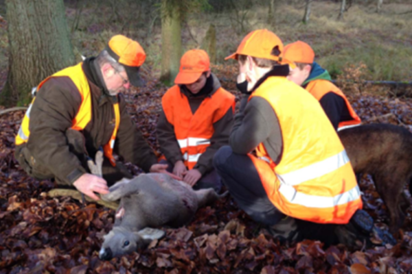 Kinder müssen vor der Gewalt auf der Jagd geschützt werden