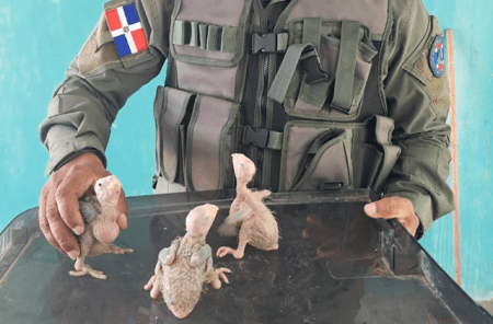 Operation Thunder 2025 30’000 Wildtiere beschlagnahmt