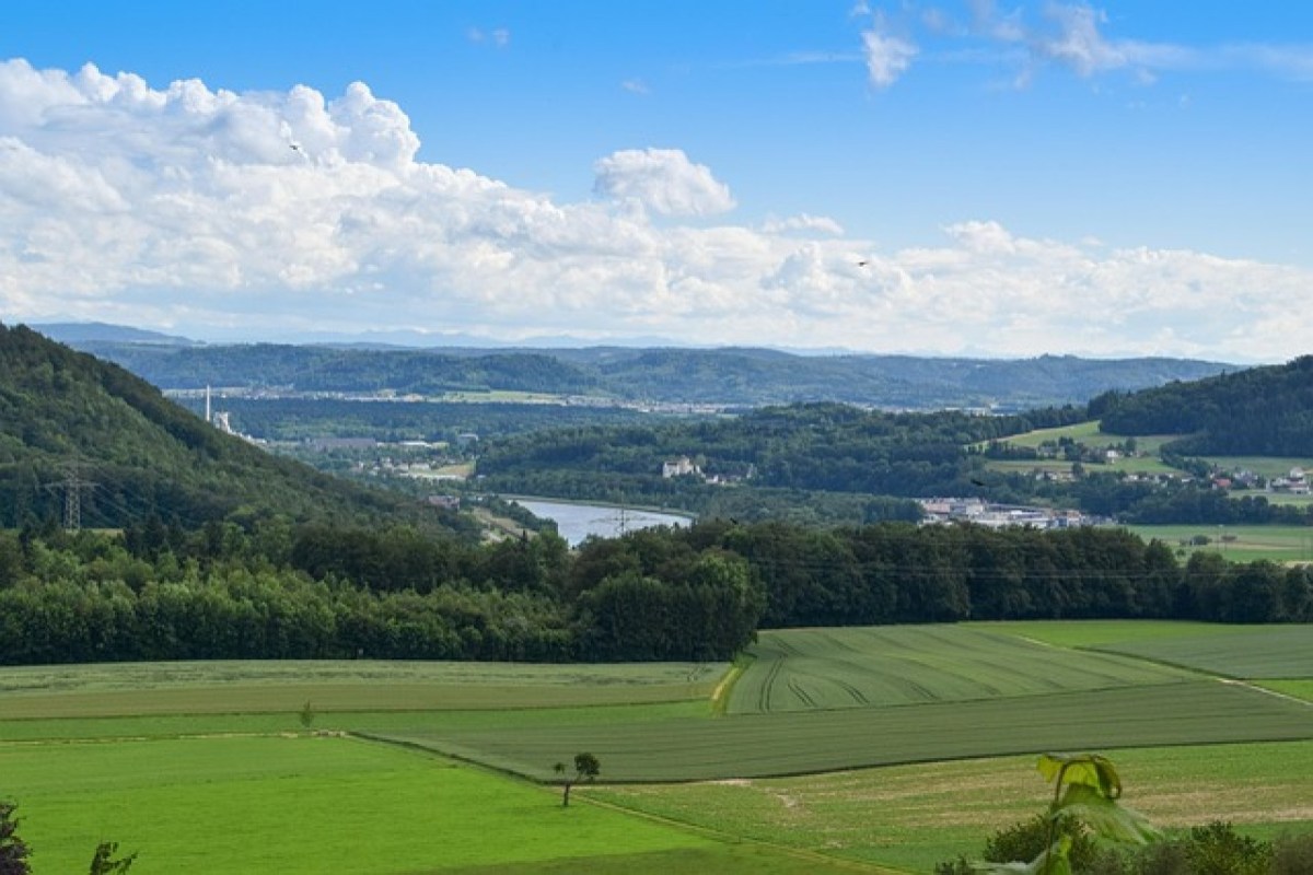 Schweiz könnte sich selbst ernähren, sagt Studie