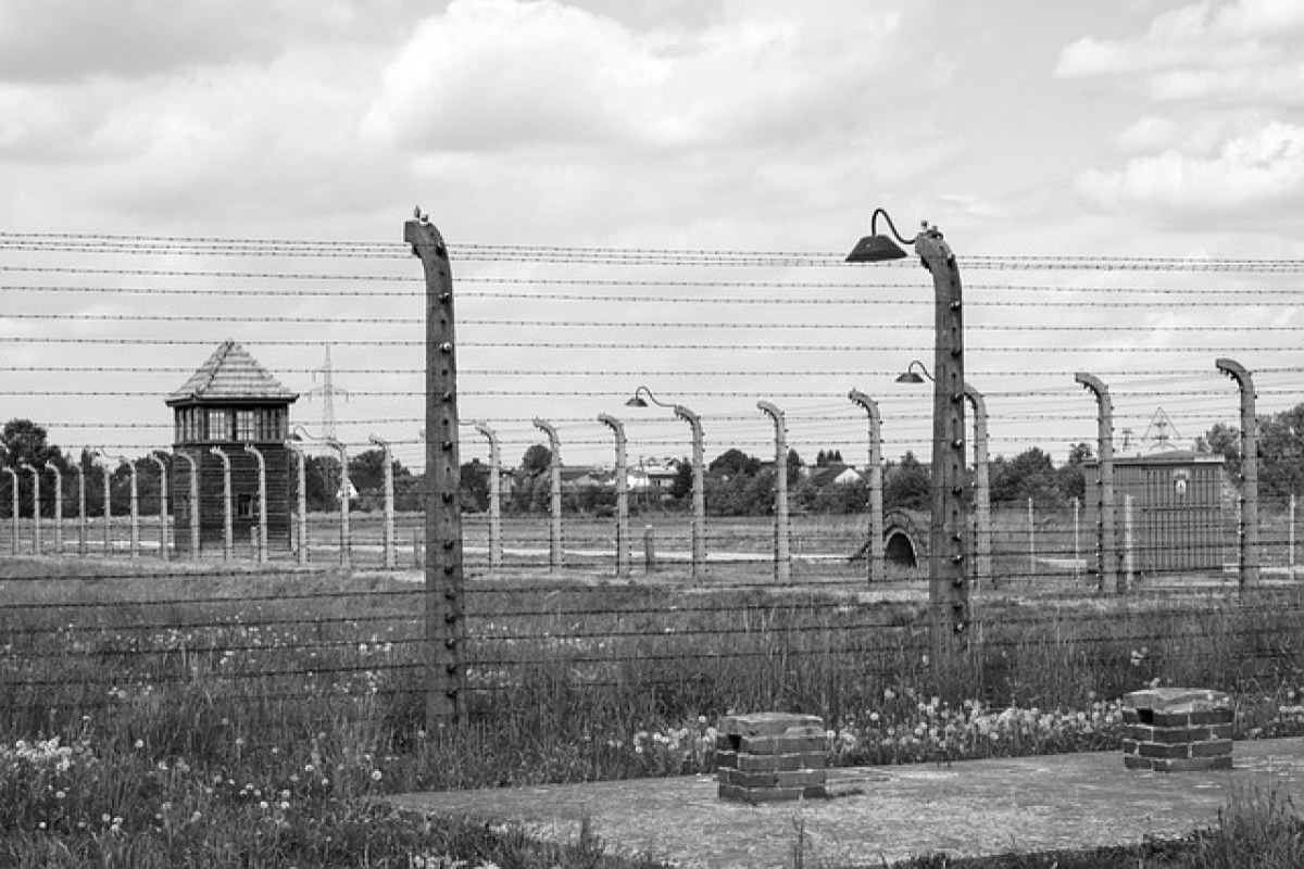 Speziesismus im Jagdrevier