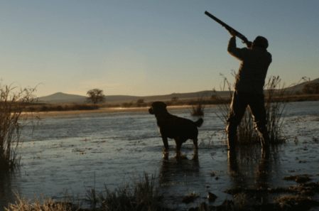 Wenn Waffen «Tradition» heissen und Tiere «Bestand».