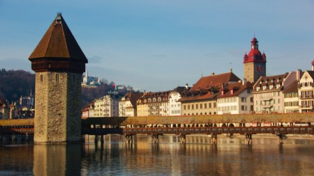 Tierleid in Luzern Kontrolle deckt massive Missstände auf