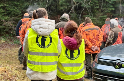 Treibjagd unter Beobachtung Treibjagd unter Beobachtung