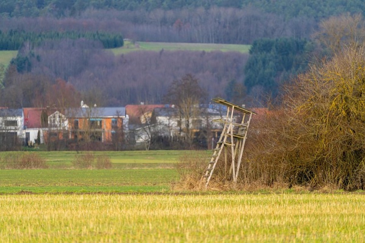 Warum die Hobby-Jagd im Jahr 2026 nicht mehr zu rechtfertigen ist