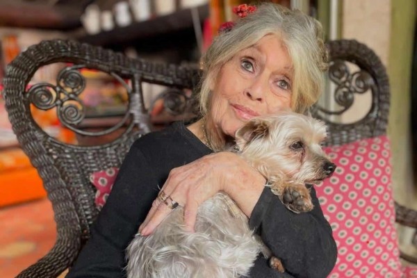 Brigitte Bardot est morte : une voix contre la chasse