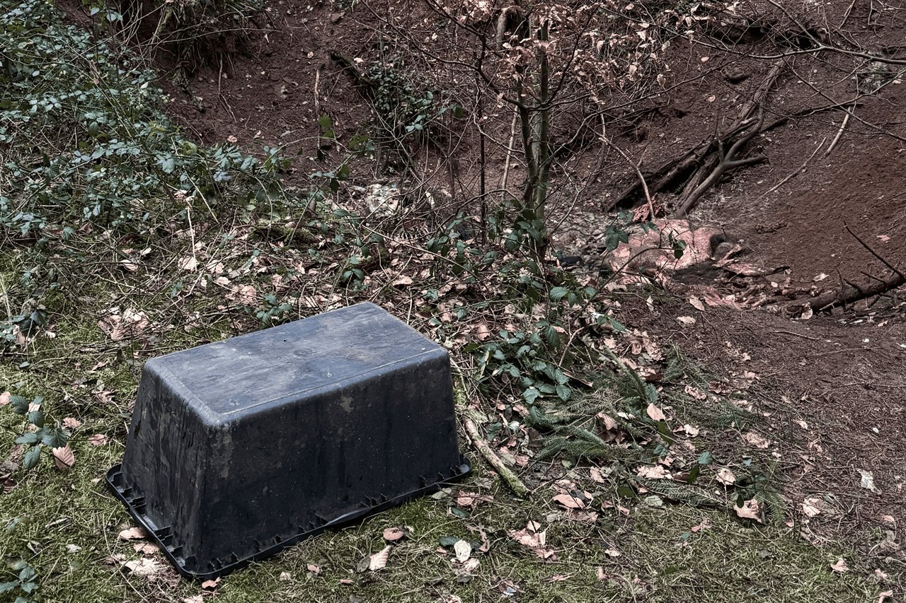 Deutscher Jagdskandal wirft Fragen für die Schweiz auf