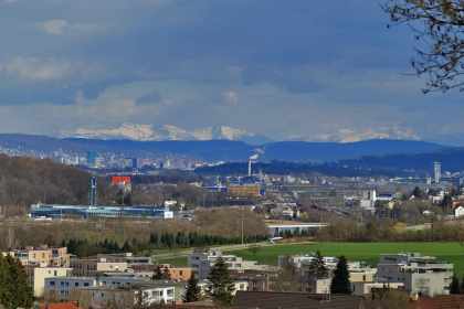 Gemeinde Spreitenbach zeigt Tierschutzplattform an – wegen zu vieler Protestmails gegen Tierquälerei