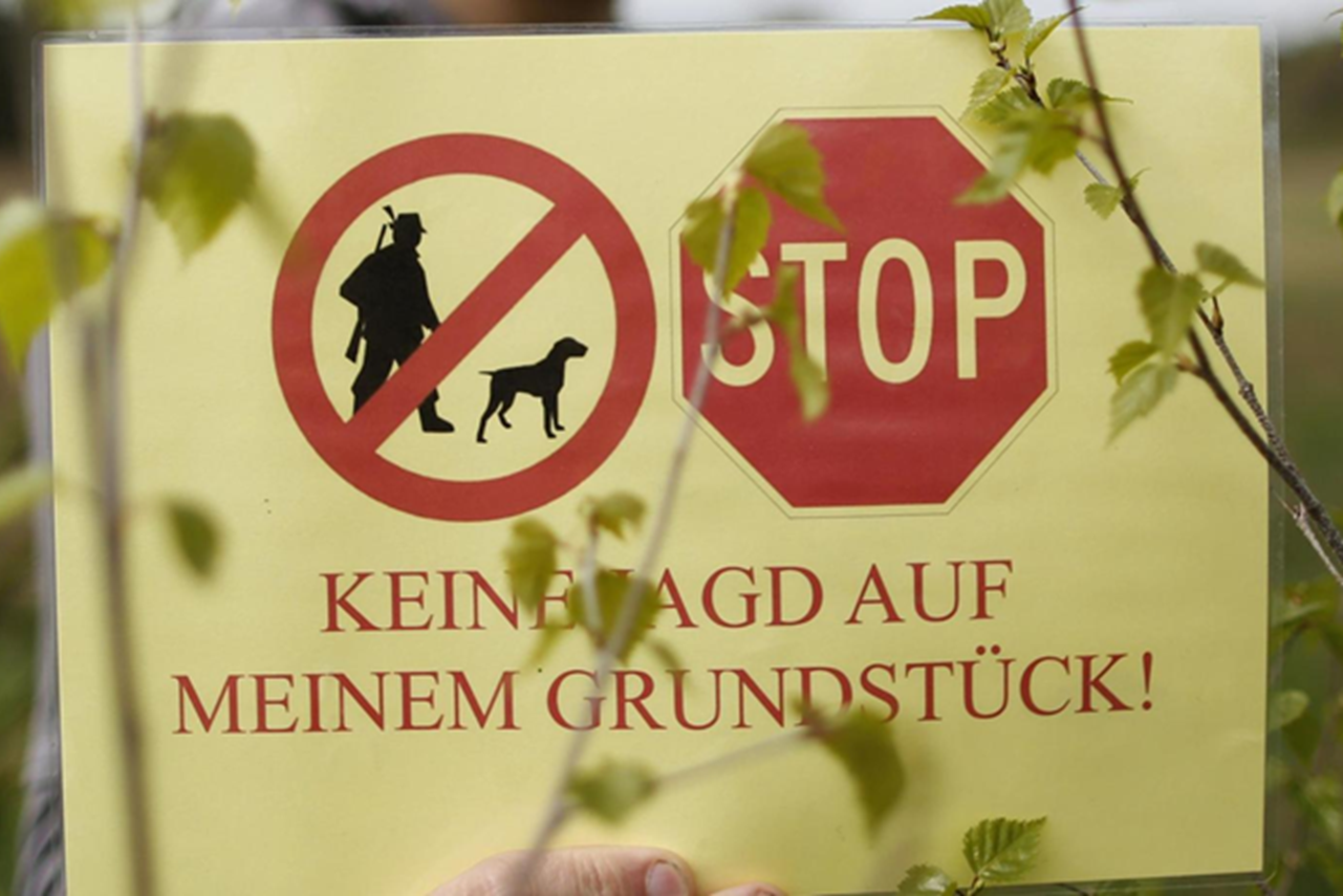 Zones sans chasse et zone pilote sur le modèle genevois