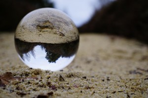 Mythes de la chasse : 12 affirmations à examiner de manière critique