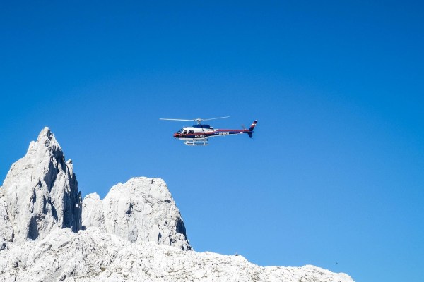 Alto Adige: 50’000 euro per l'abbattimento di un lupo