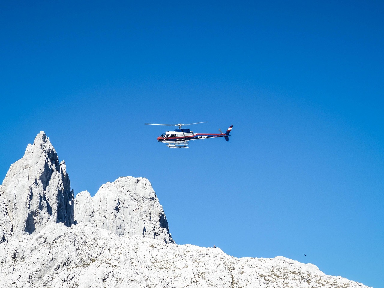 Alto Adige: 50'000 euro per un colpo al lupo
