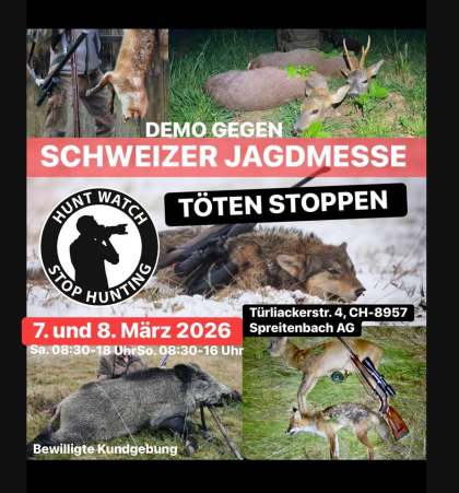 637272982 1207200591594473 3079990281498706008 n