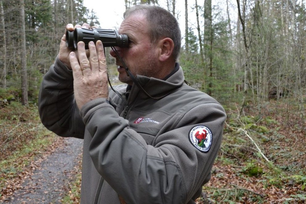 Argumentarium gegen die Hobby Jagd und für professionelle Wildhüter