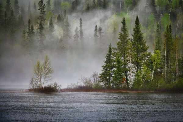 Bleimunition: Toxisches Erbe der Hobby-Jagd