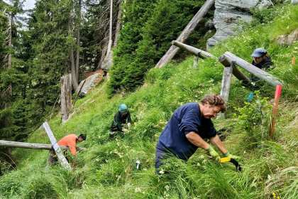 Freiwillige statt Flinte: Das Bergwaldprojekt ruft um Hilfe Freiwillige statt Flinte Das Bergwaldprojekt ruft um Hilfe