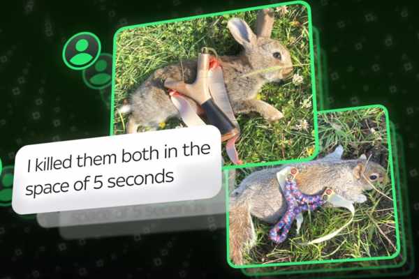 Kinder töten Wildtiere mit Schleudern