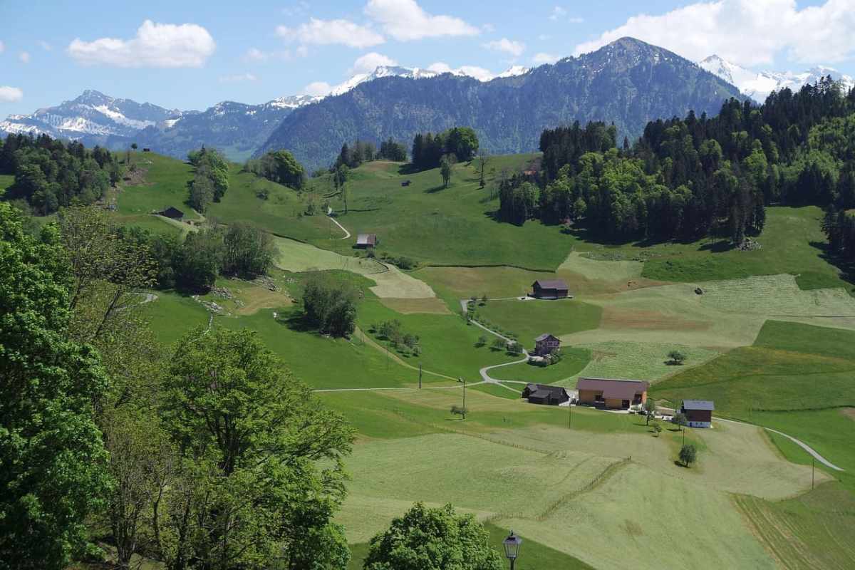 Cultuurlandschap als mythe Waarom rewilding geen vernietiging is