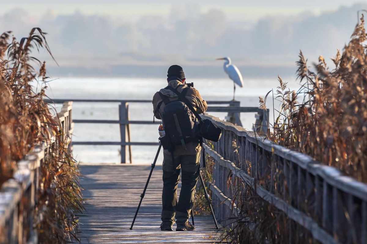 Zwitserland als hekkensluiter Hoe Europa voorop loopt bij beschermde gebieden