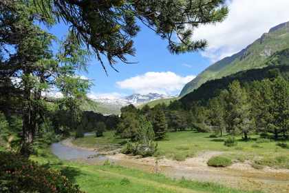 Töten als Freizeitvergnügen: Was das Tessiner Jagdgesetz wirklich enthüllt Töten als Freizeitvergnügen Was das Tessiner Jagdgesetz wirklich enthüllt