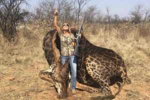 Du bouquetin du Valais au koudou d'Afrique, les séjours de chasse et les salons professionnels comme JAGD &amp; HUND transforment les animaux en marchandises. Un dossier sur l'argent, l'éthique et le tourisme cynégétique.