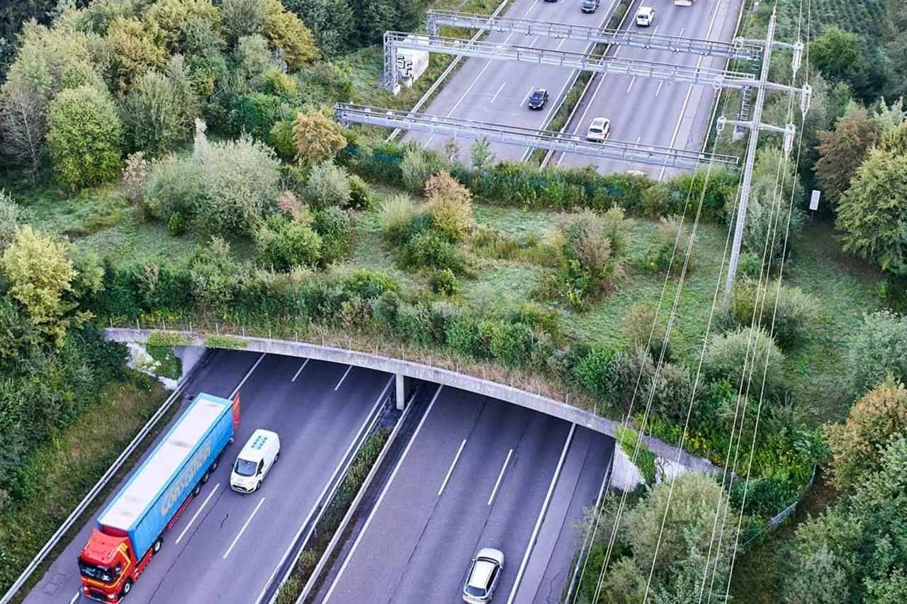 Wildtierkorridore und Lebensraumvernetzung Warum Wildbrücken und Raumplanung wirksamer sind als Abschüsse