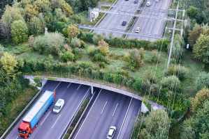 Corridors fauniques et connectivité des habitats : pourquoi les ponts fauniques et la planification spatiale sont plus efficaces que l’abattage sélectif