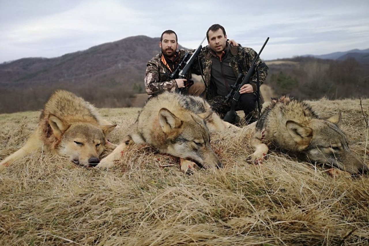 Verbod op reclame voor jachtreizen