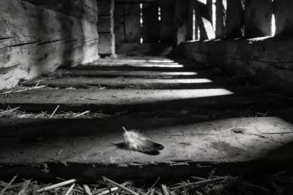 Zu Tode gequält Zu Tode gequält