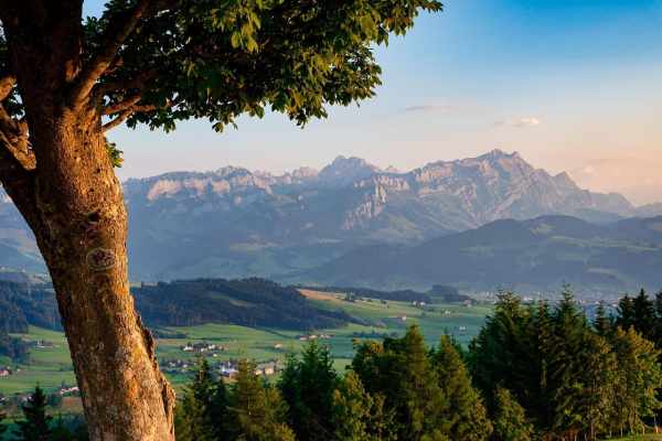 Psychologie der Hobby-Jagd im Kanton Appenzell Innerrhoden