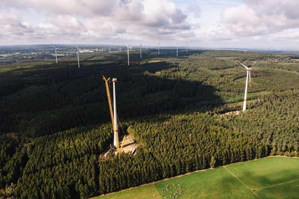 Windkraft gegen Wildtiere: Europa bremst den Ausbau