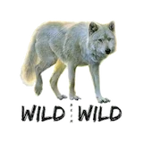 Cropped logo transparent 1[1]