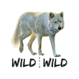 Wild beim Wild