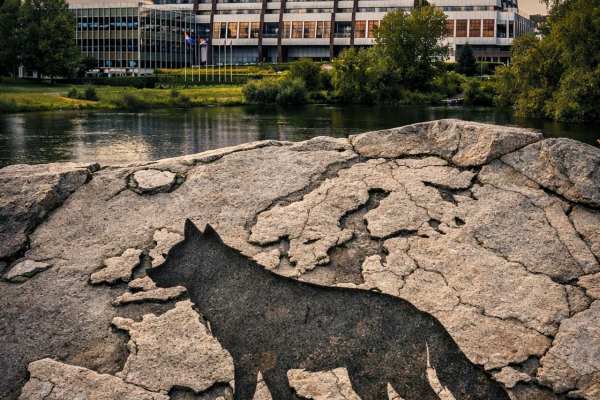 Qu'est-ce que la Convention de Berne et protège-t-elle le loup ?