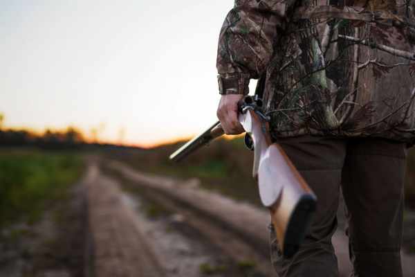 Tués par millions – pour rien : une nouvelle étude dément les sornettes des chasseurs