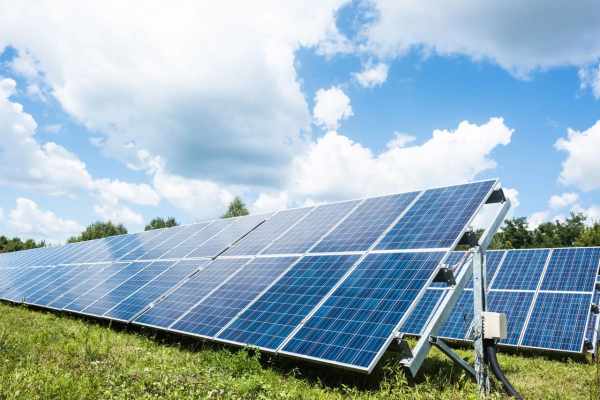 Solar, PFAS, and wildlife: Poison reaching milk and meat