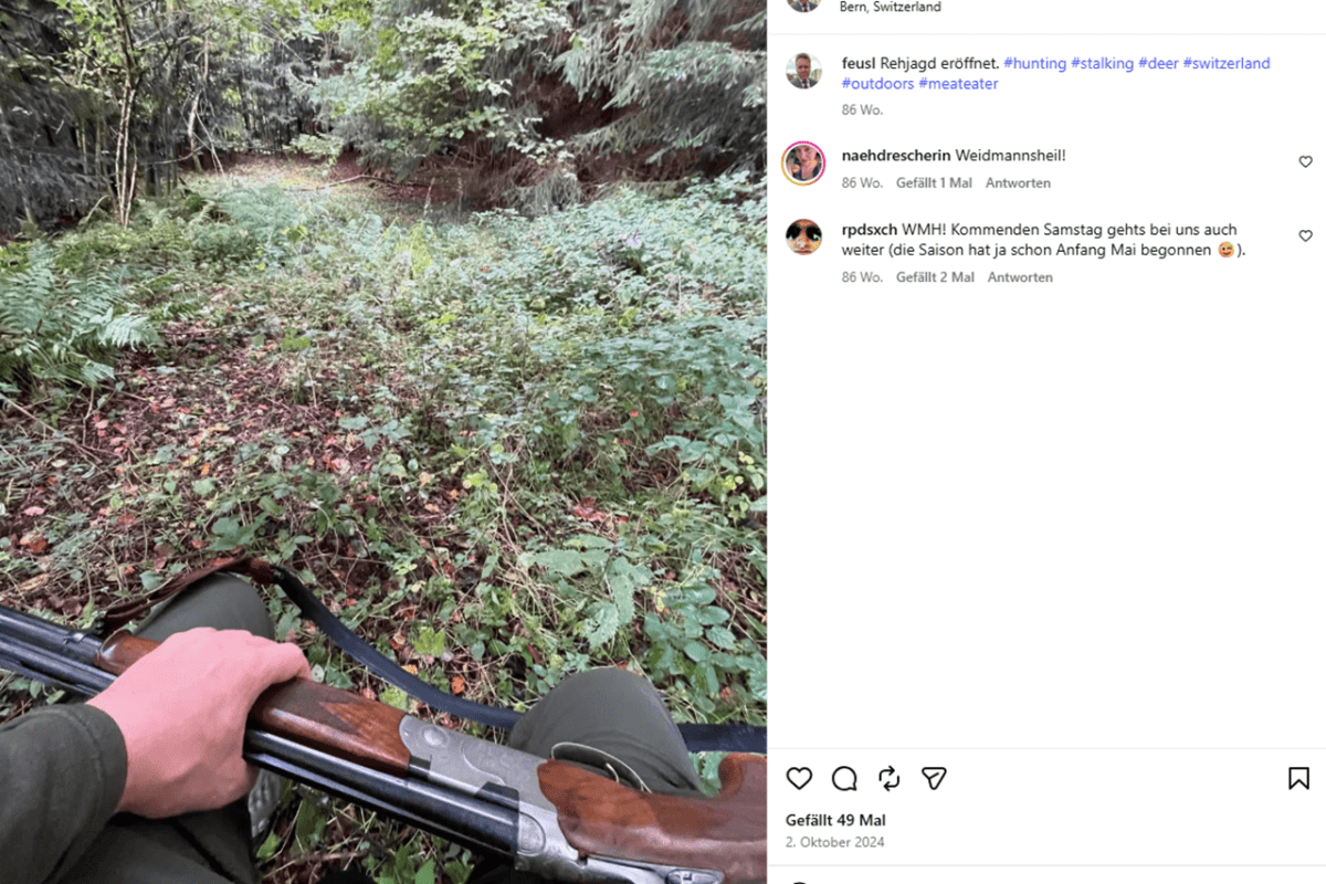 Trophies in Bohemia, kills in Alsace: Dominik Feusi and hobby hunting as a worldview