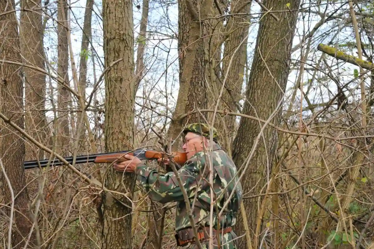 Warum die Hobby Jagd die Bevölkerung nicht schützt, sondern gefährdet