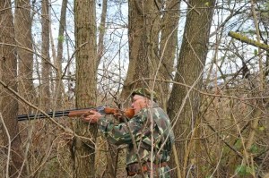 Warum die Hobby Jagd die Bevölkerung nicht schützt, sondern gefährdet