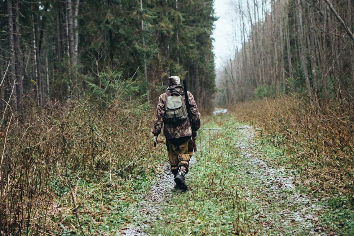 What hobby hunting costs taxpayers — a bill nobody openly presents