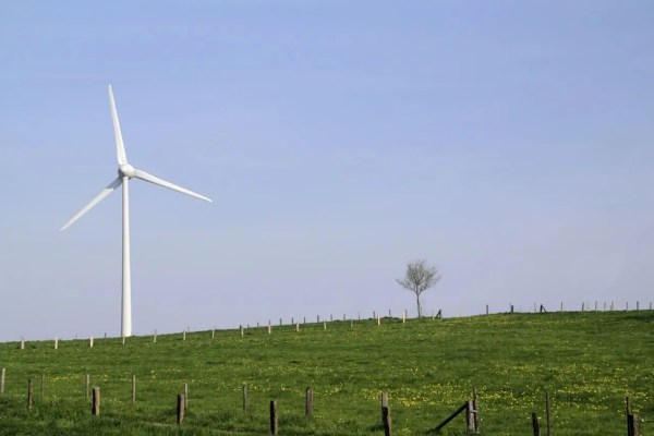 Windräder und Wildtierschutz: Aktuelle Entwicklungen im Solothurner Jura (2026)