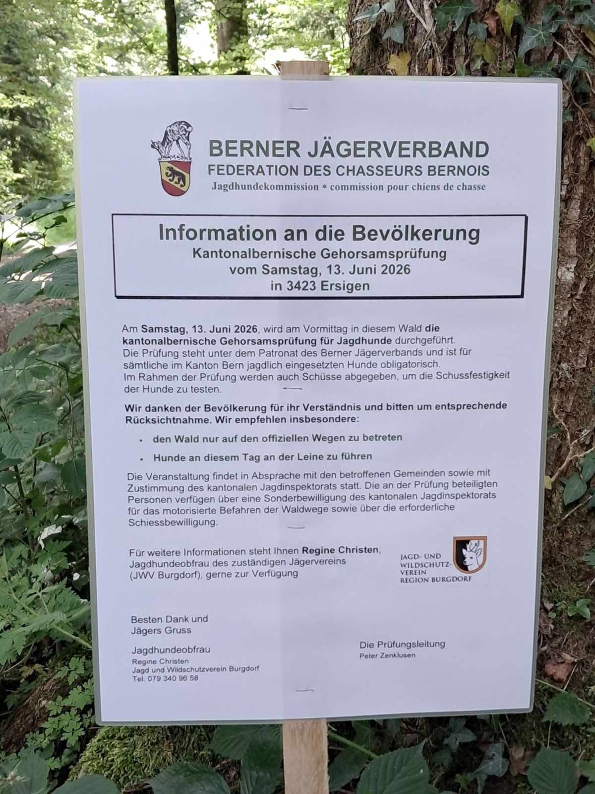 Infoplakat des Berner Jägerverbands zur Jagdhunde-Gehorsamsprüfung vom 13. Juni 2026 in Ersigen