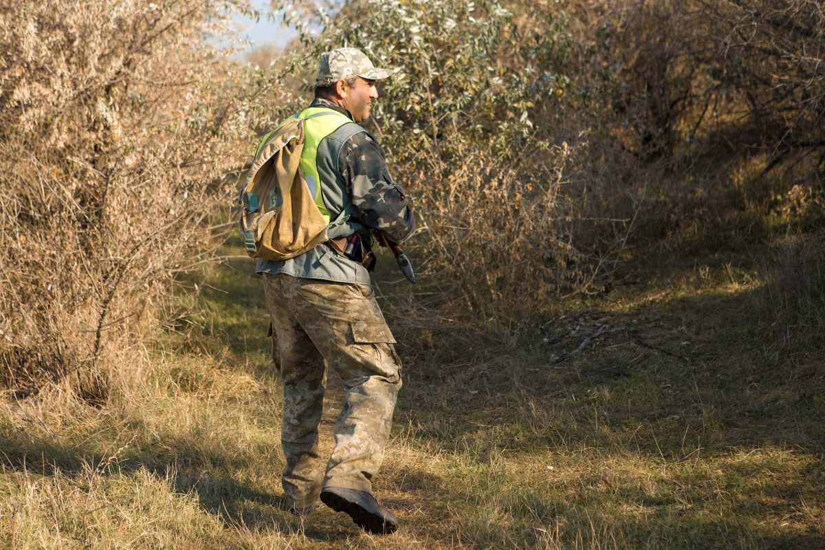 Nearly 470,000 hobby hunters in Germany record numbers, rising accident figures – and yet the wolf is still to go