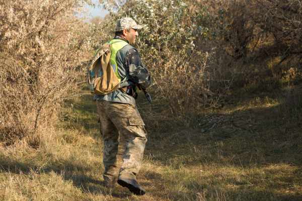 Almost 470,000 hobby hunters in Germany: a record, rising accident figures – and yet the wolf is still to go