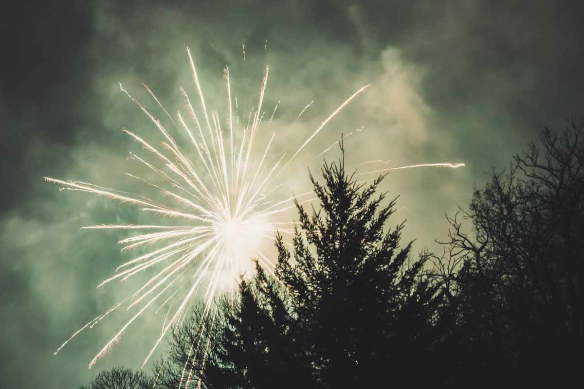 Feuerwerk trifft Wildtiere Doppelstress durch Knallerei und Hobby Jagd