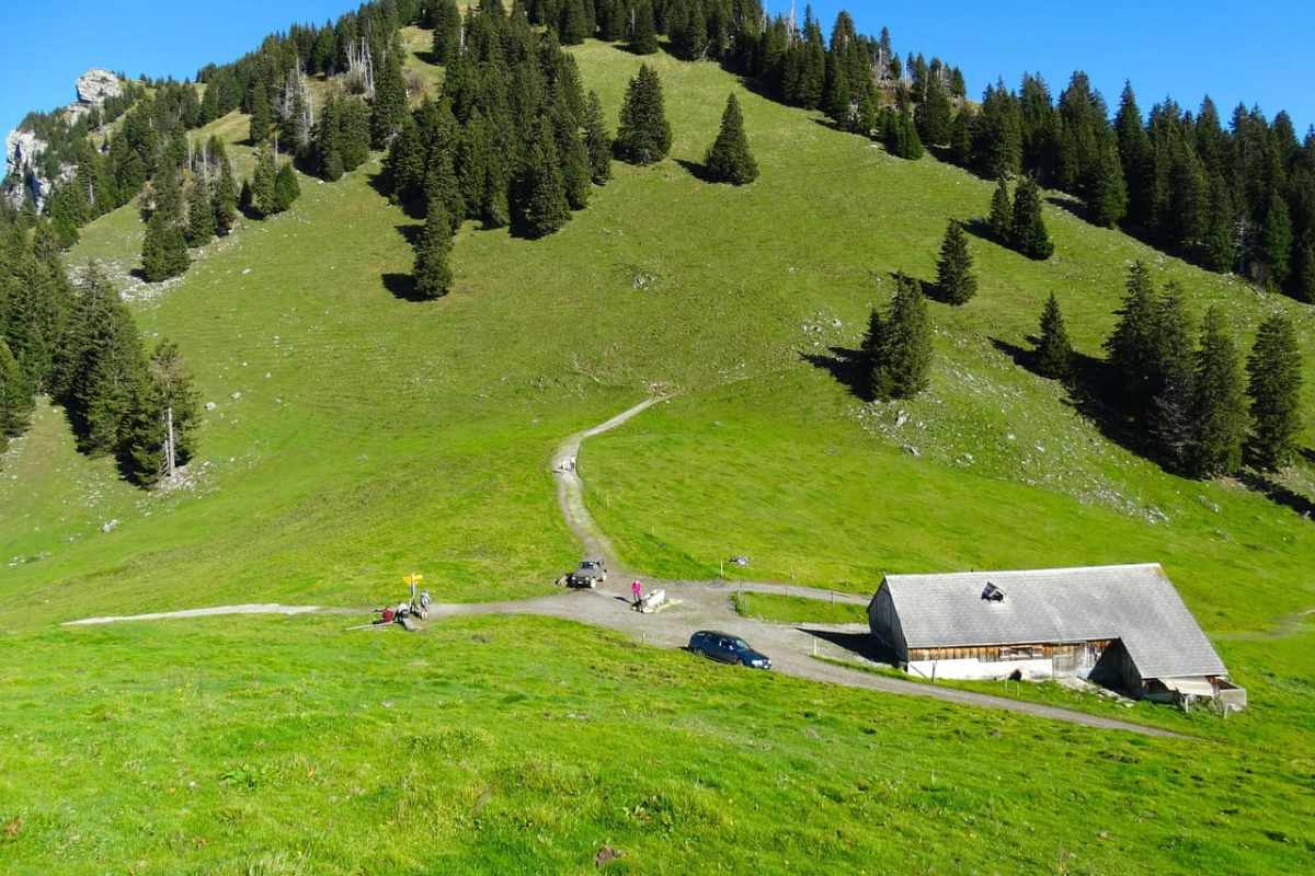 Jagdbanngebiete öffnen, Wölfe ganzjährig schiessen Warum diese Politik nicht haltbar ist
