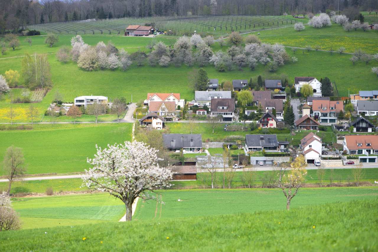 Kanton Basel Landschaft antwortet auf Fuchsjagd Petition ohne eine einzige wissenschaftliche Quelle